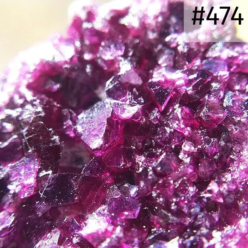 2026年最新】カメレライトの人気アイテム - メルカリ