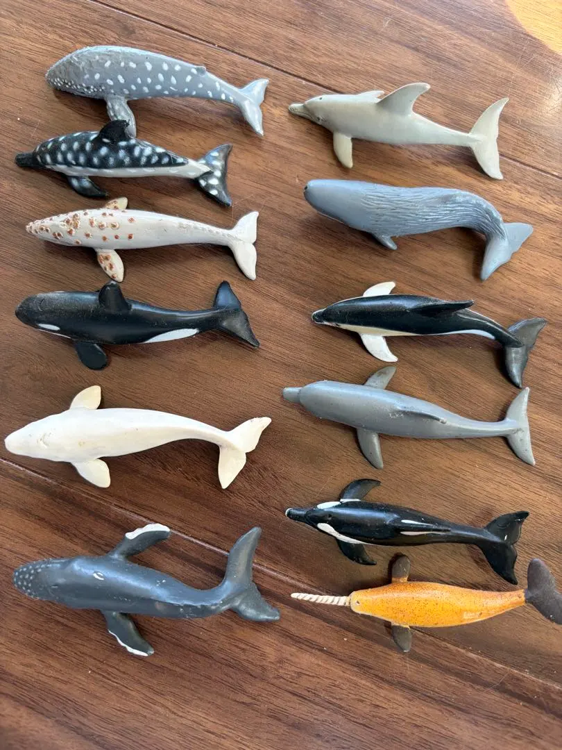 2026年最新】鯨の牙の人気アイテム - メルカリ