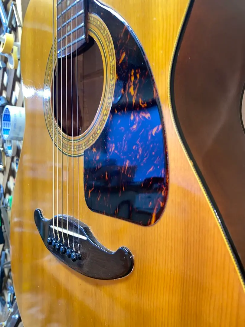 2026年最新】tokai humming birdの人気アイテム - メルカリ