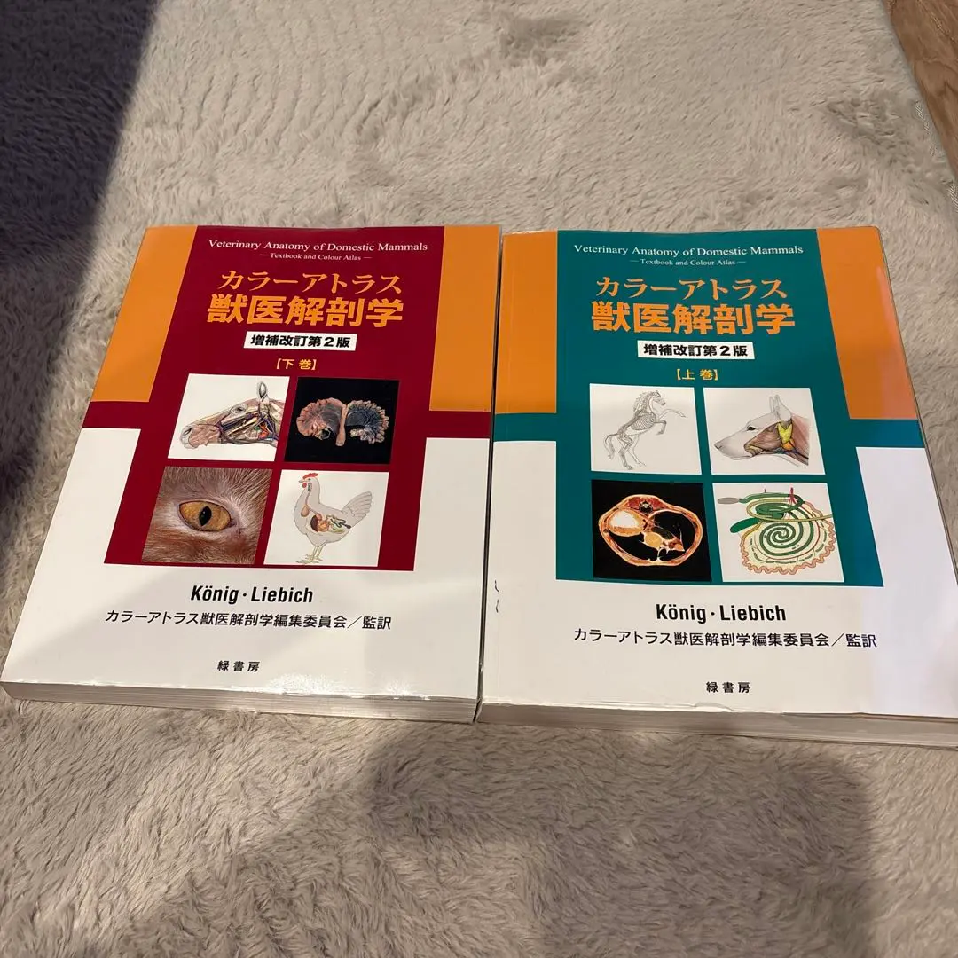 2026年最新】カラーアトラス獣医解剖学〈下巻〉の人気アイテム - メルカリ