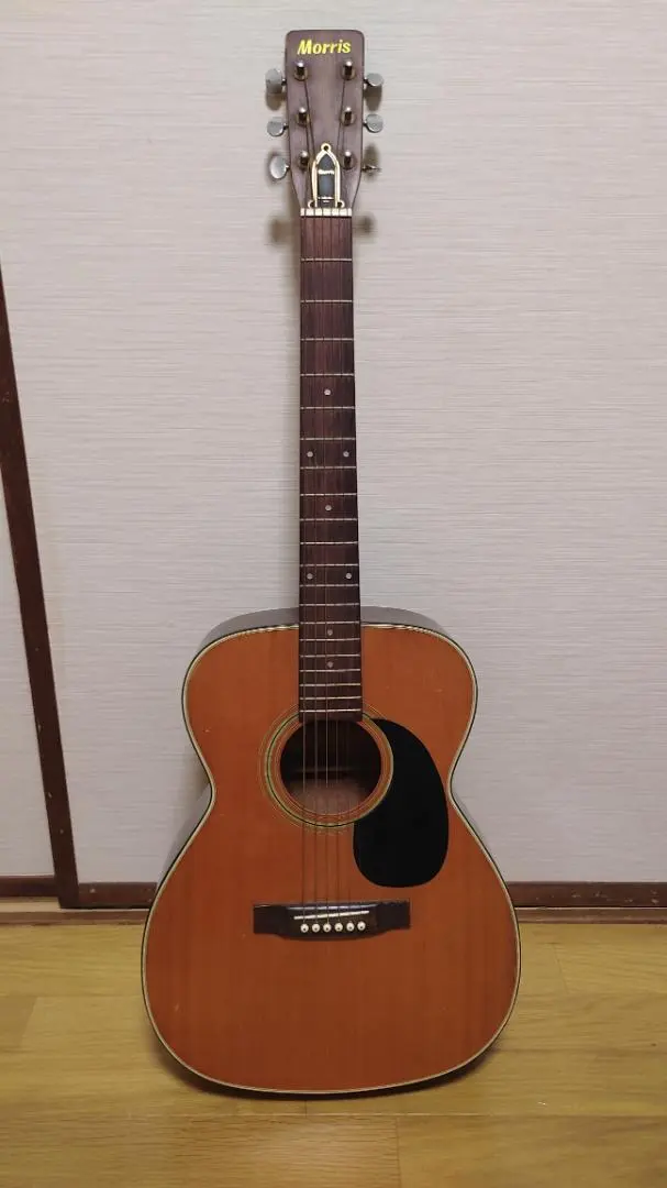 2026年最新】MORRIS F-13の人気アイテム - メルカリ