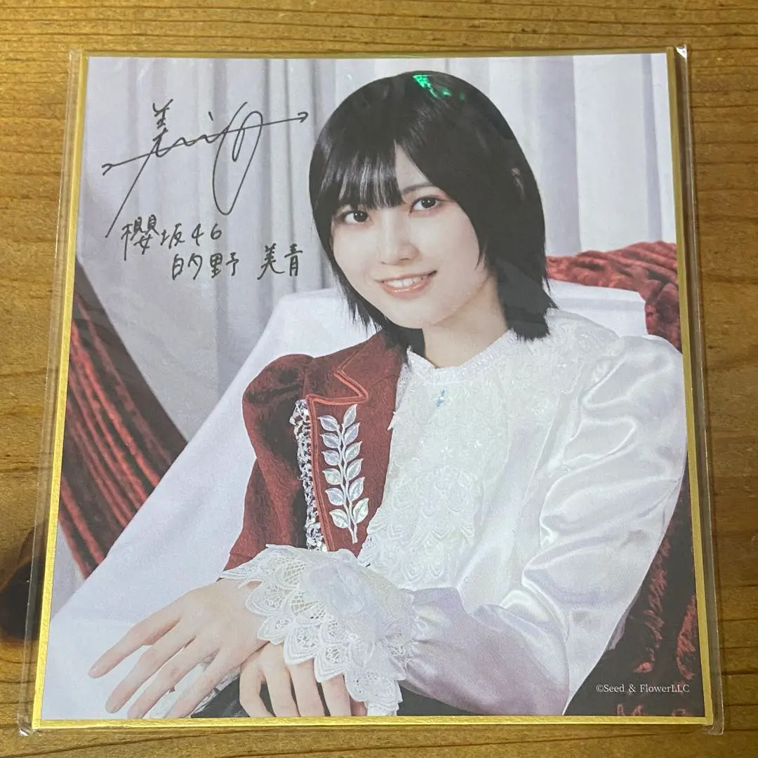 2026年最新】的野美青 サインの人気アイテム - メルカリ