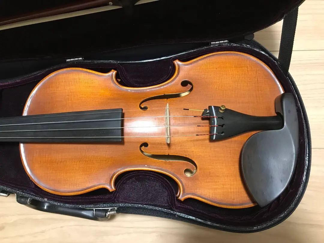 2026年最新】GLIGA バイオリン 4/4の人気アイテム - メルカリ