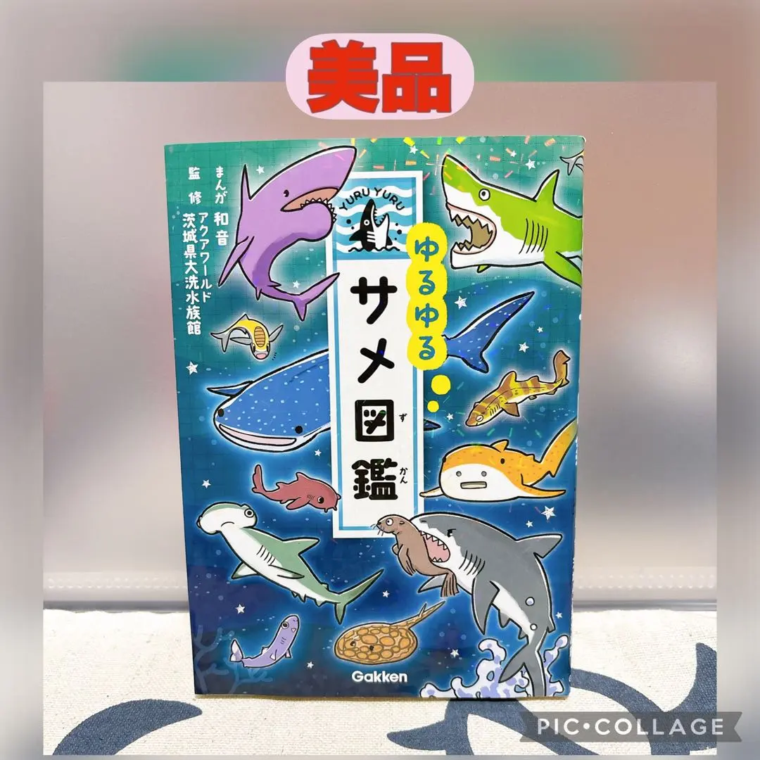 2026年最新】ホホジロザメの歯の人気アイテム - メルカリ