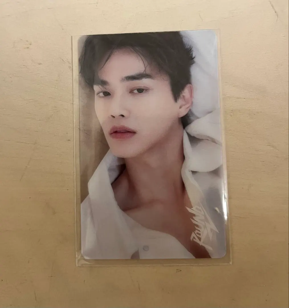 2026年最新】ソンガン日本限定の人気アイテム - メルカリ