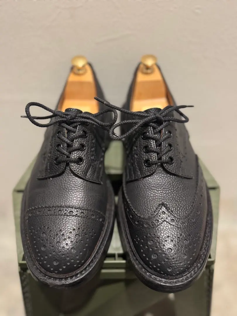 2026年最新】ネペンテス トリッカーズの人気アイテム - メルカリ