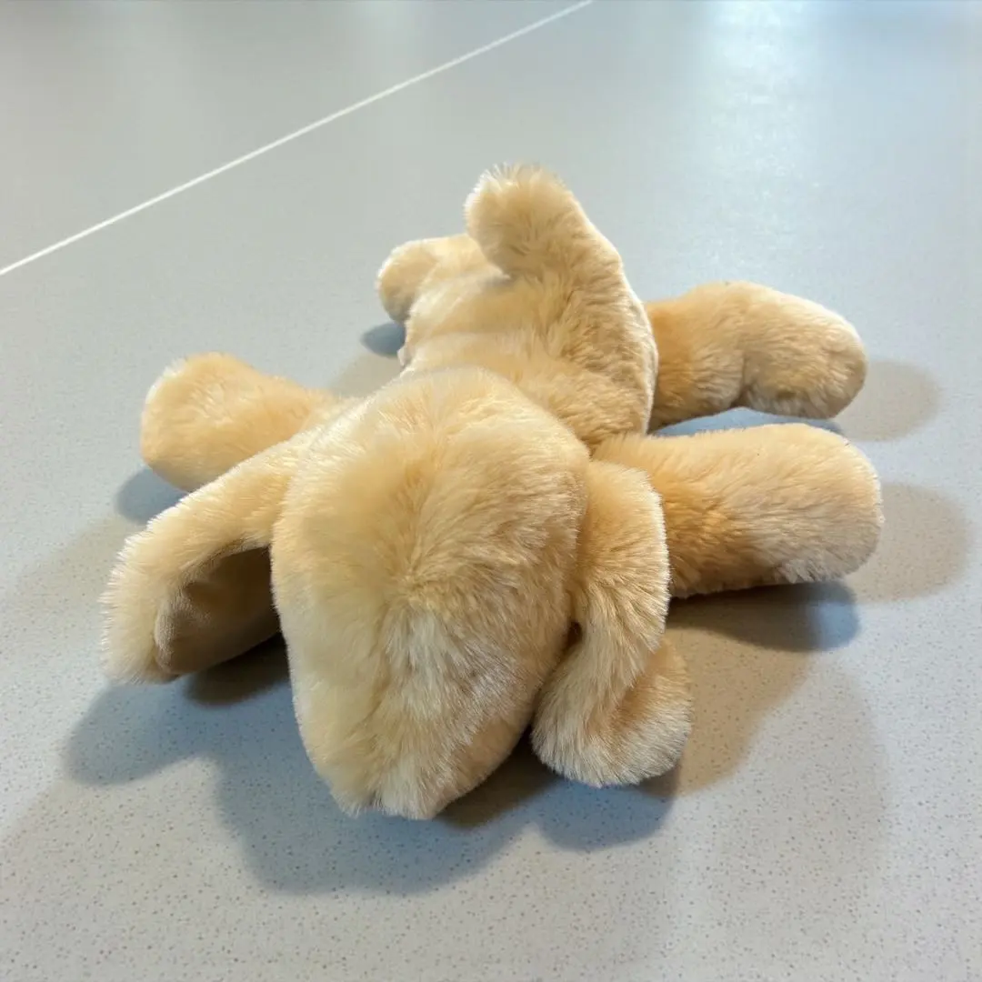 2026年最新】ケテクルーゼの人気アイテム - メルカリ