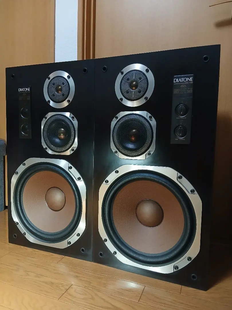 2026年最新】DS-1000 DIATONEの人気アイテム - メルカリ