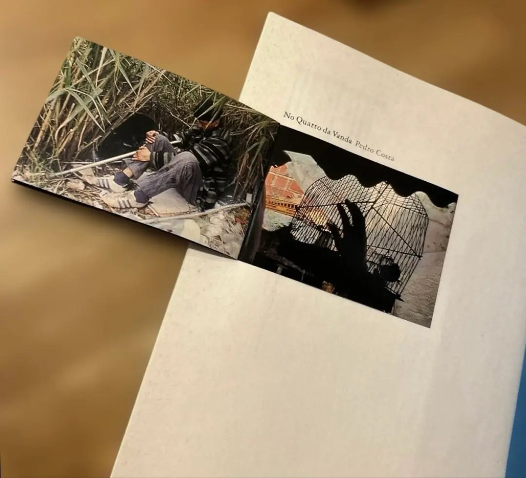 2026年最新】ペドロコスタの人気アイテム - メルカリ