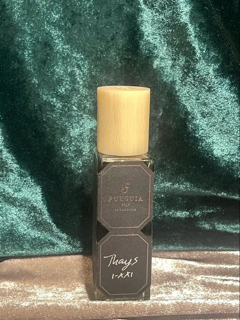 2026年最新】フエギア タイースの人気アイテム - メルカリ