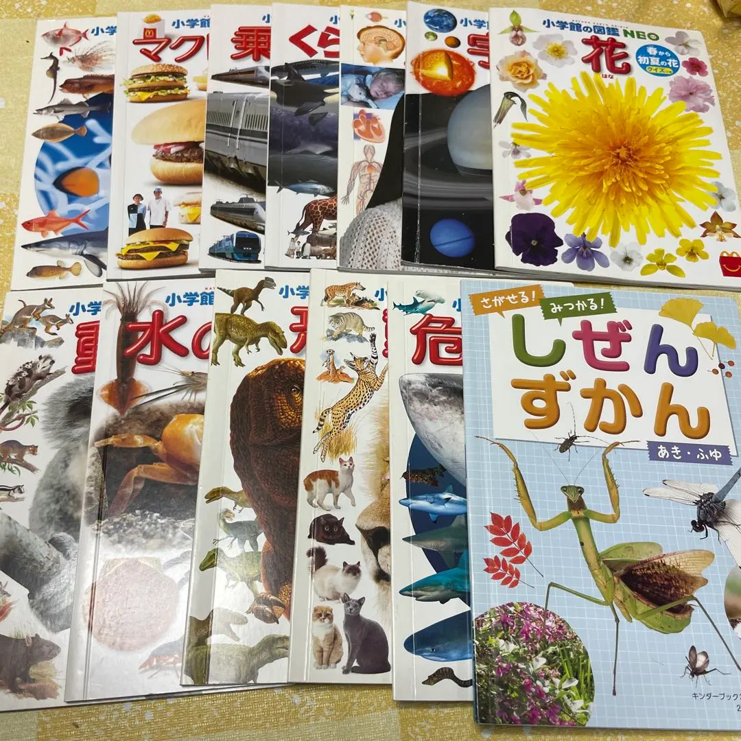 2026年最新】キンダーブックしぜん きょうりゅうの人気アイテム - メルカリ
