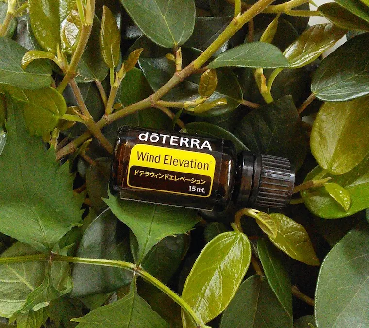 2026年最新】ドテラ ウィンドエレベーションの人気アイテム - メルカリ