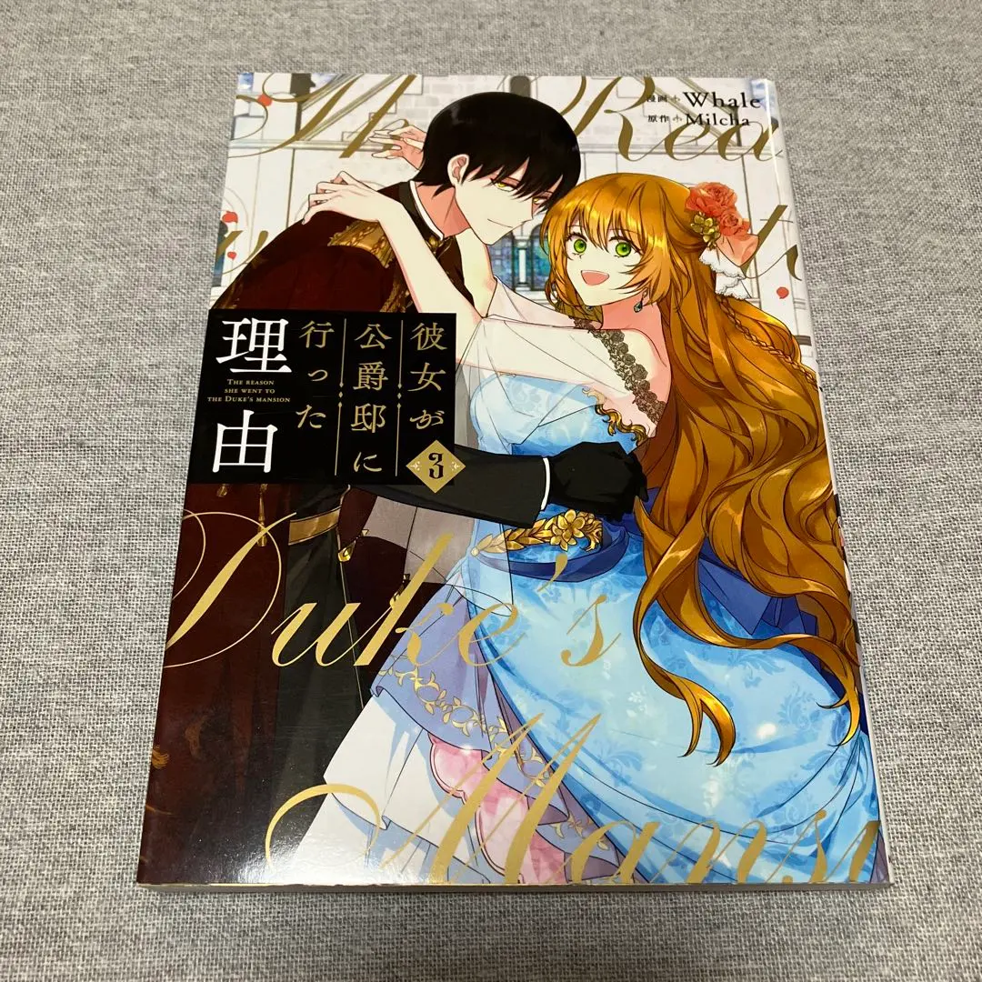 2026年最新】彼女が公爵邸に行った理由 全巻の人気アイテム - メルカリ