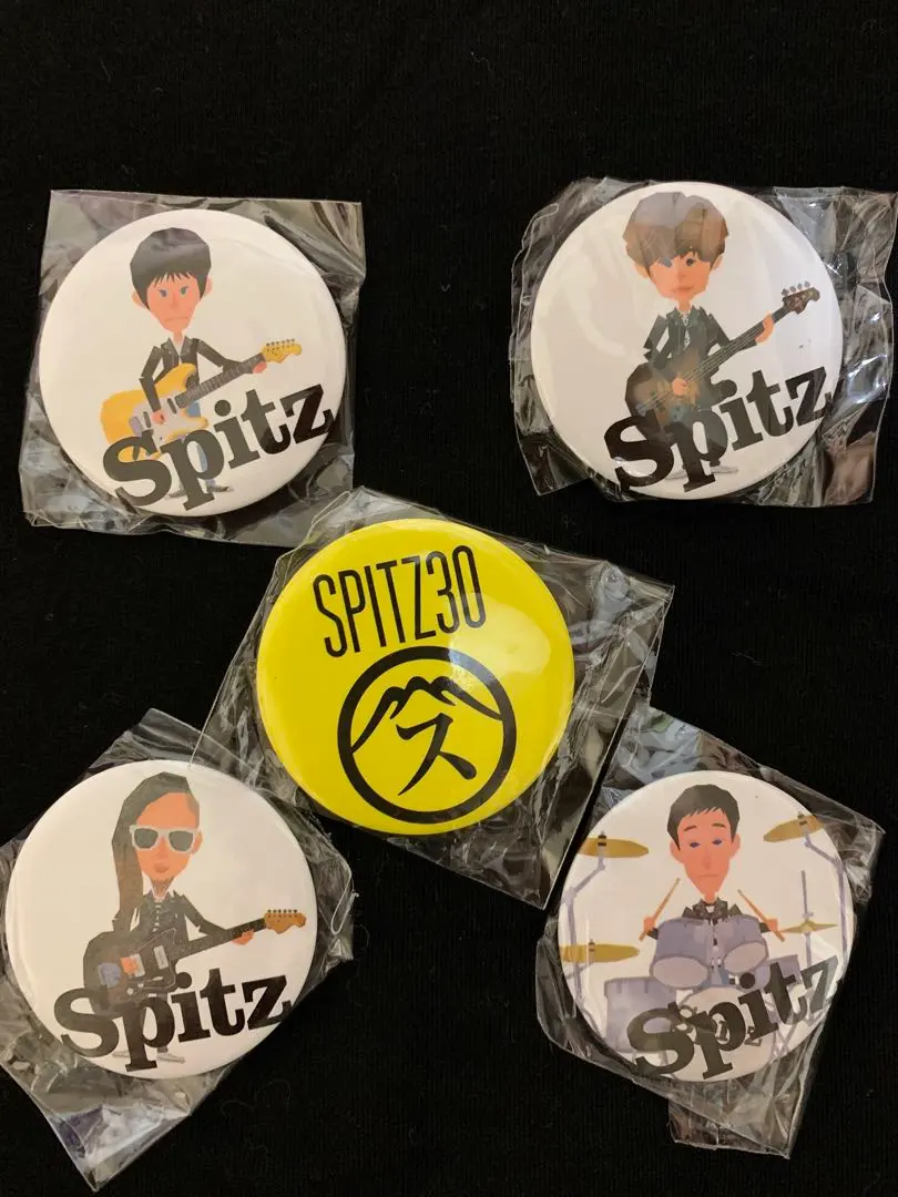 2026年最新】SPITZ 30th ANNIVERSARY TOUR 