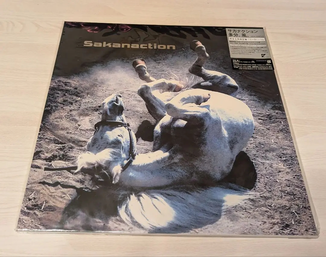 2026年最新】サカナクション 多分、風。 完全限定生産盤の人気アイテム