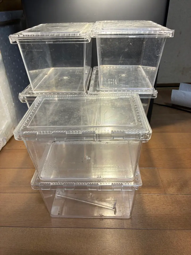 2026年最新】クリアースライダーの人気アイテム - メルカリ