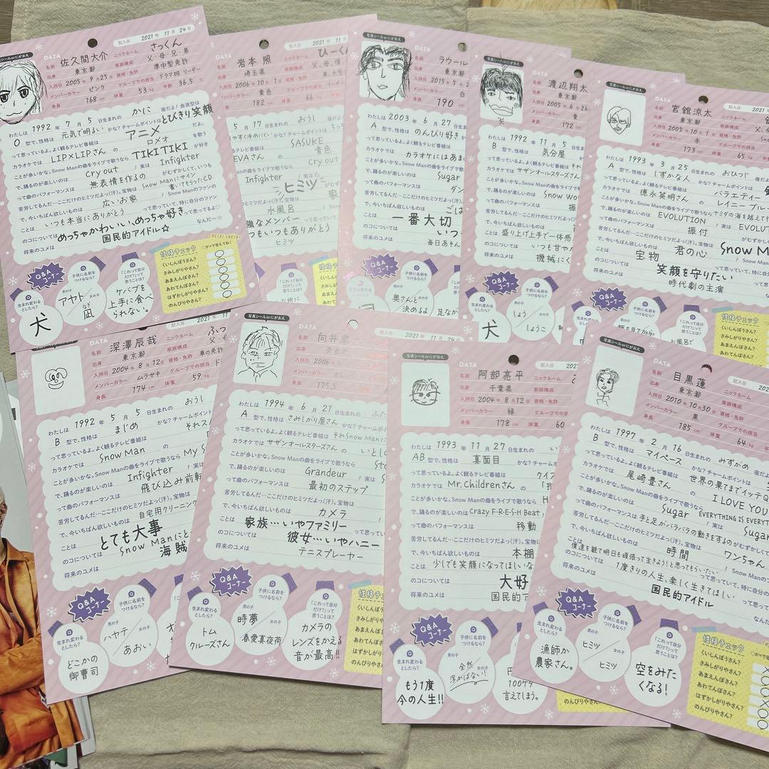 Snow Man クリアファイル カレンダー フライヤー まとめ売り - メルカリ