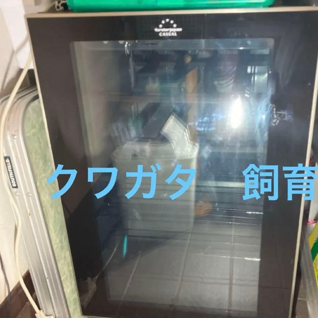 ワインセラー　フォルスタージャパン　コンプレッサー 式クワガタ フォルスター、インバーターコンプレッサー採用ワインセラー2機種7型式