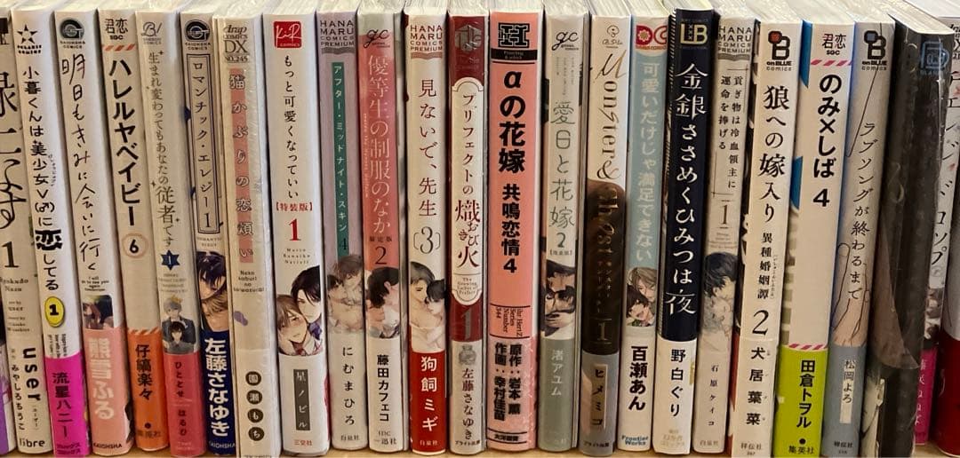 ＢＬコミック ④ バラ可