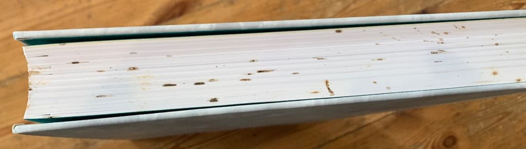 人気巻揃い】 世界美術大全集 西洋編 小学館 16巻セット③ - メルカリ