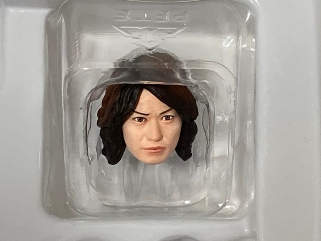 S.H.Figuarts 真骨彫製法　仮面ライダーイクサ