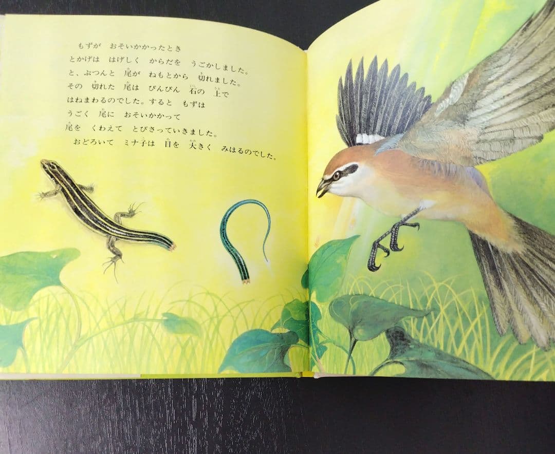 希少】とかげのしっぽ （新日本動物植物えほん） / 椋 鳩十他 - メルカリ