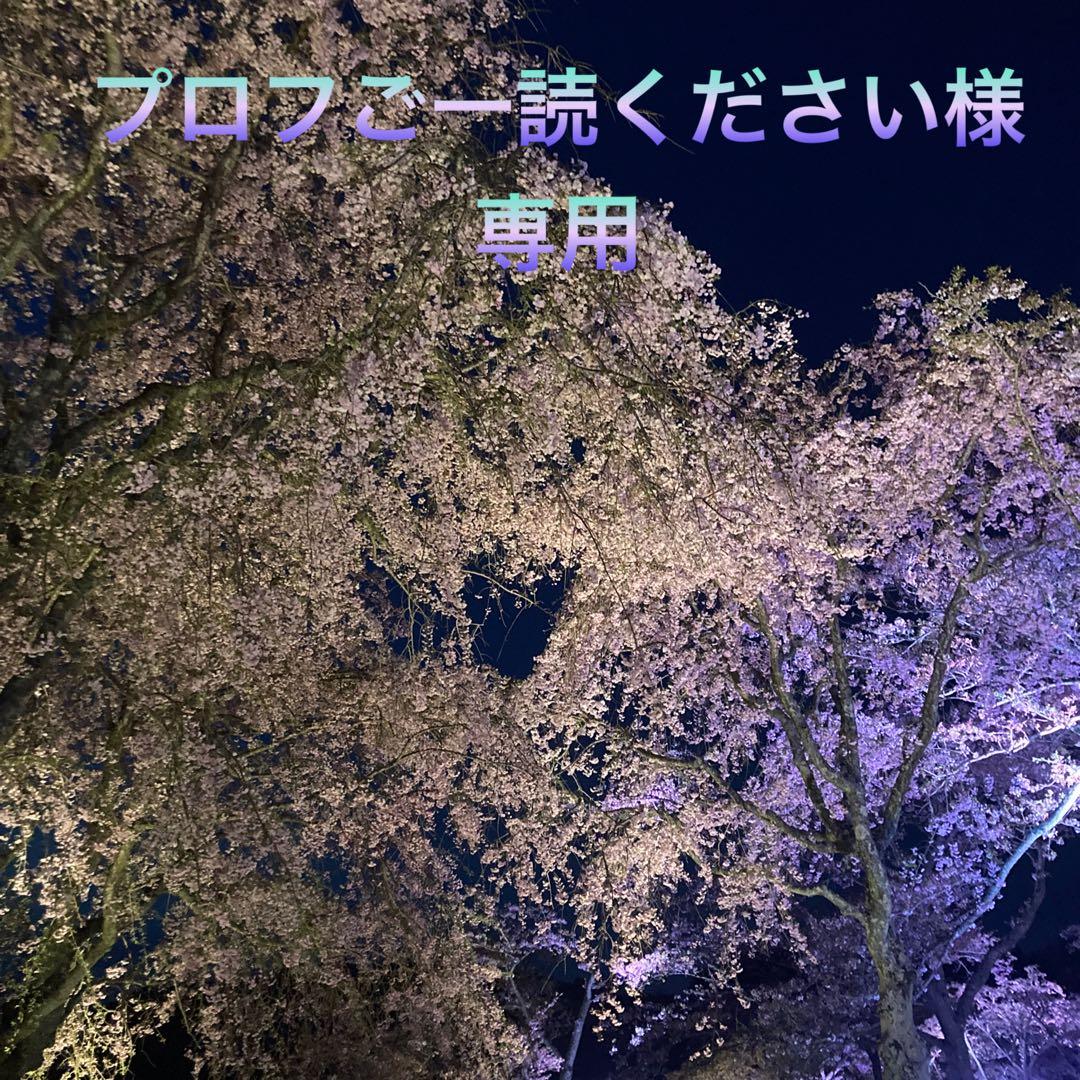 プロフご一読ください様オーダー専用ページ bamshop【プロフ一読願います】 とい プロフ一読ください✨ページ 専用