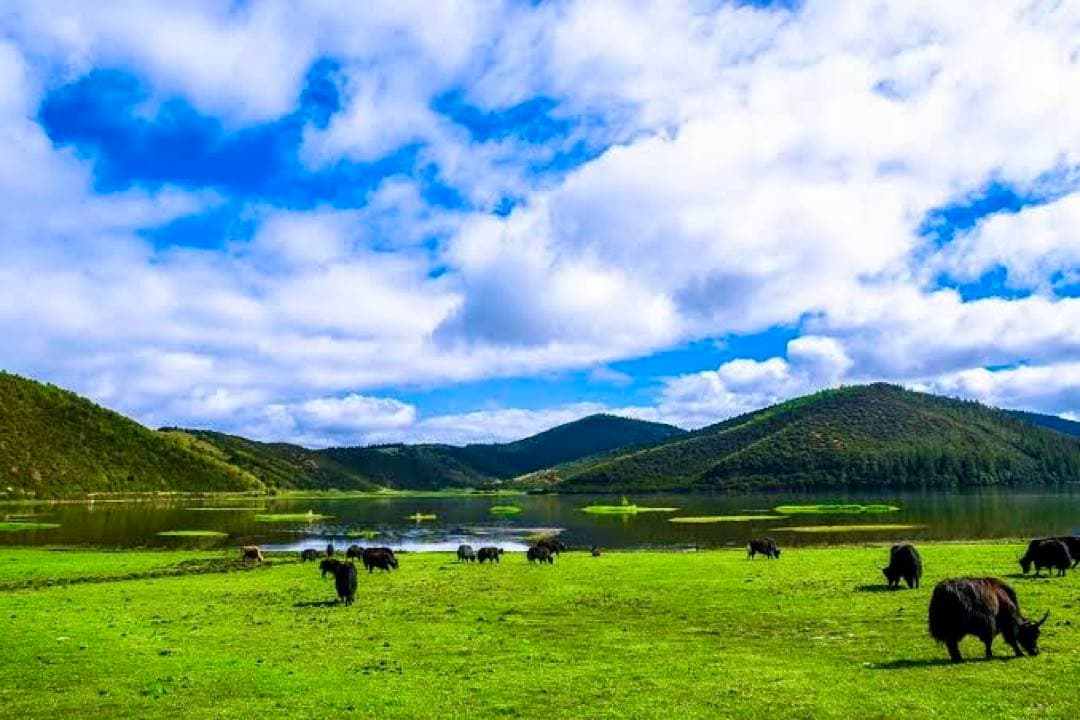 ゆかりん様 神の秘境から舞い降りし破邪最強の守護石 幻のシャングリラ