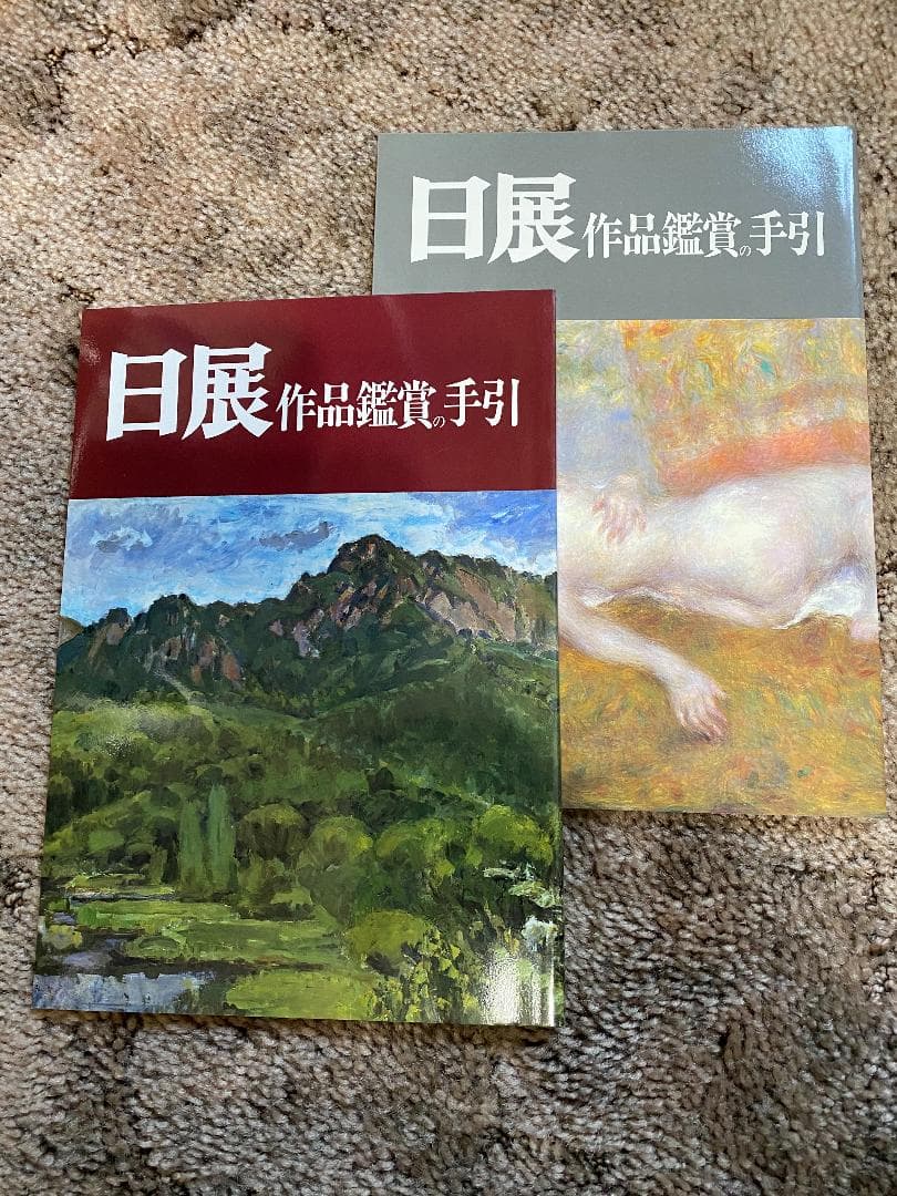 日展作品集38冊、日展アートガイド5冊、日展作品鑑賞
