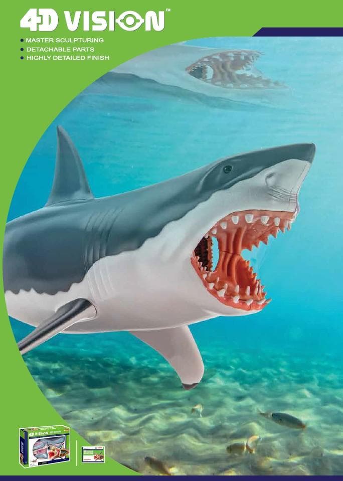 4Dビジョン ホホジロザメ 鮫 解剖モデル Great White Shark - メルカリ