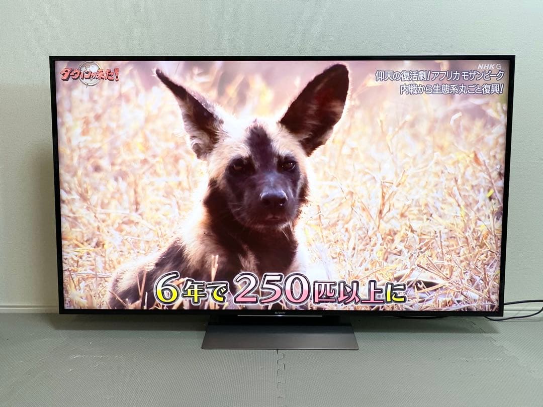 1都4県配送無料 SONY BRAVIA KJ-55X9300D 4K テレビ - メルカリ