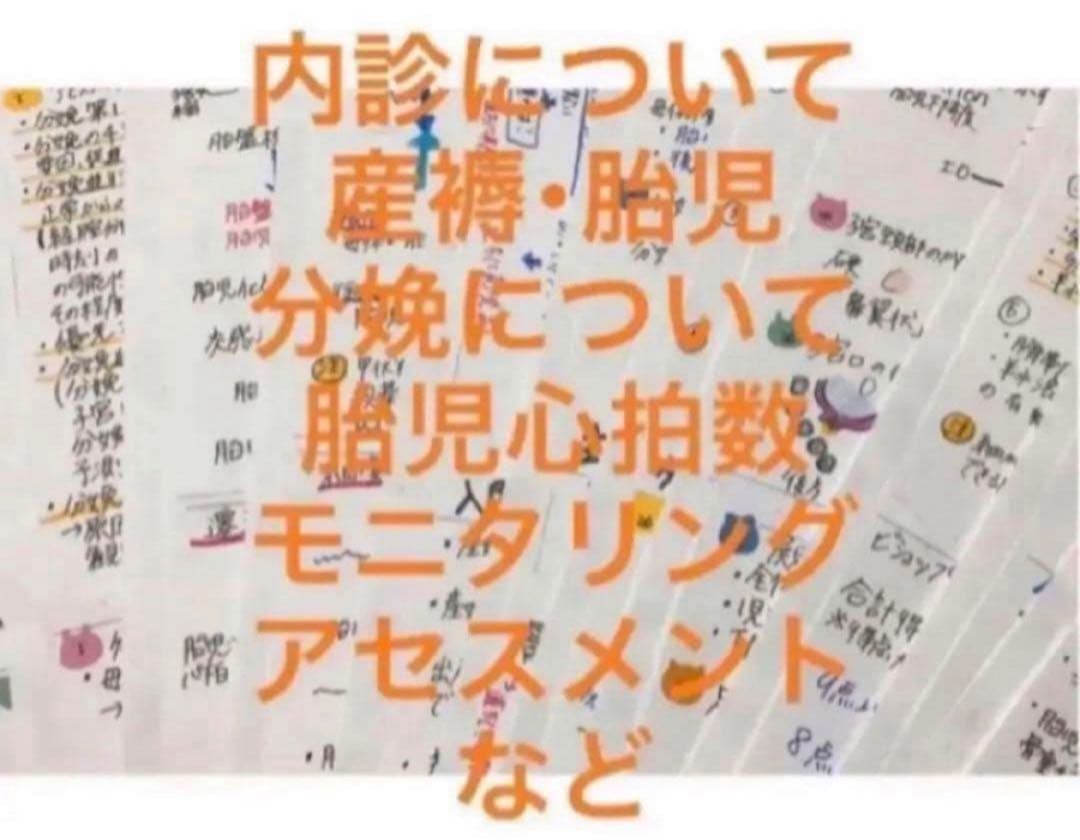 助産師 助産学生 実習乗り切りセット ポケットサイズ 事前学習 実習
