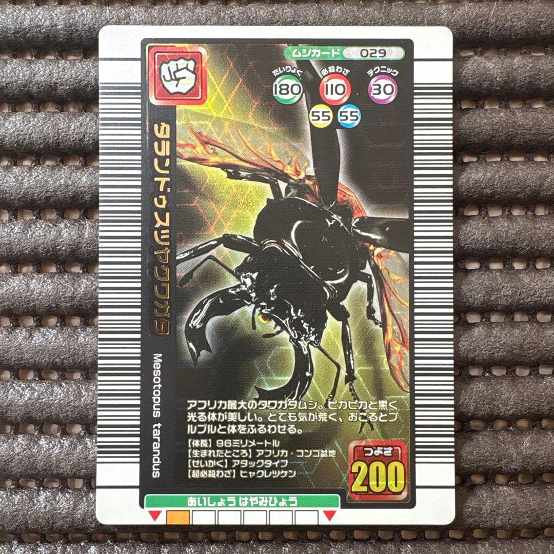 希少 ムシキング タランドゥスツヤクワガタ 2005年夏限定デザイン