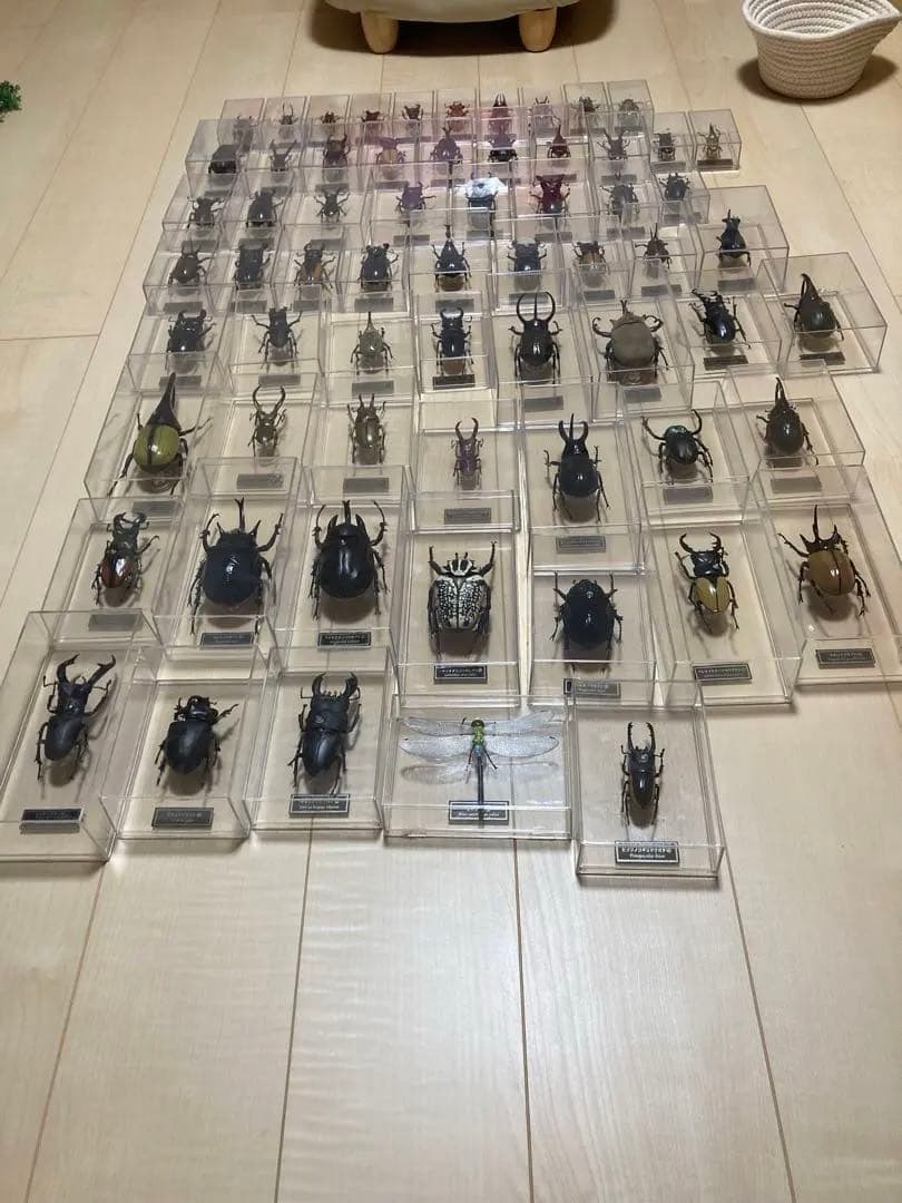 ディアゴスティーニ世界の昆虫全64種コンプリート　クワガタカブトムシ　フィギュア Amazon.co.jp: ヘラクレススオオカブト デアゴスティーニ 世界の昆虫