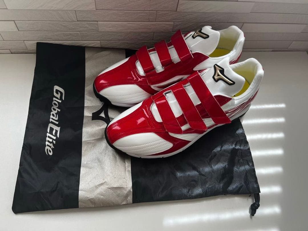 Mizuno オーダー トレーニングシューズ 新品未使用 28.5cm