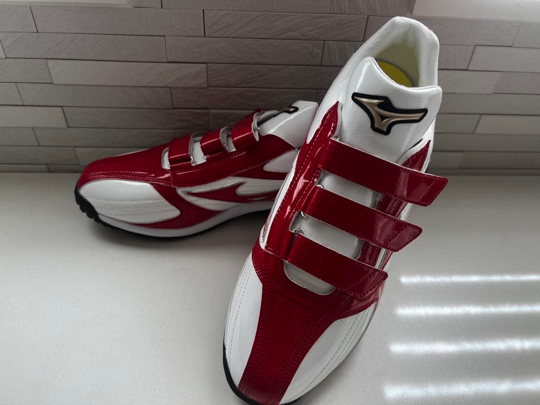 Mizuno オーダー トレーニングシューズ 新品未使用 28.5cm