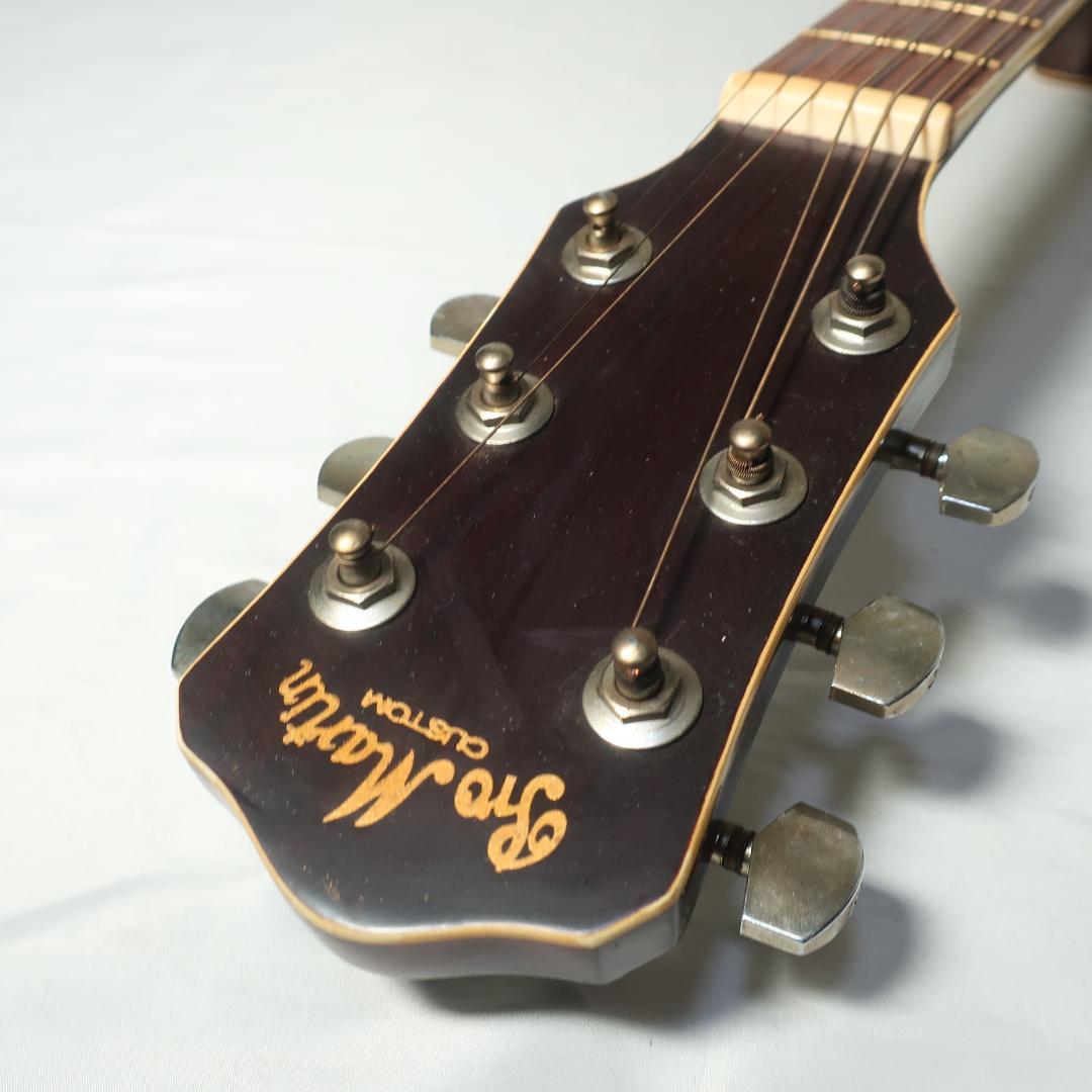 Pro Martin EAW-350 WRS エレアコ ギター ケース付 - メルカリ