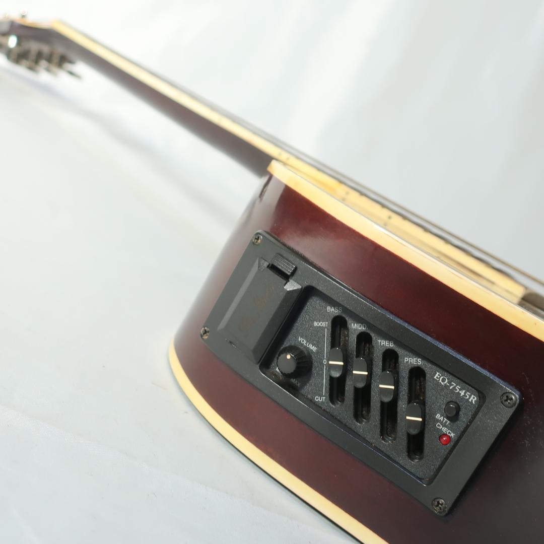 Pro Martin EAW-350 WRS エレアコ ギター ケース付 - メルカリ