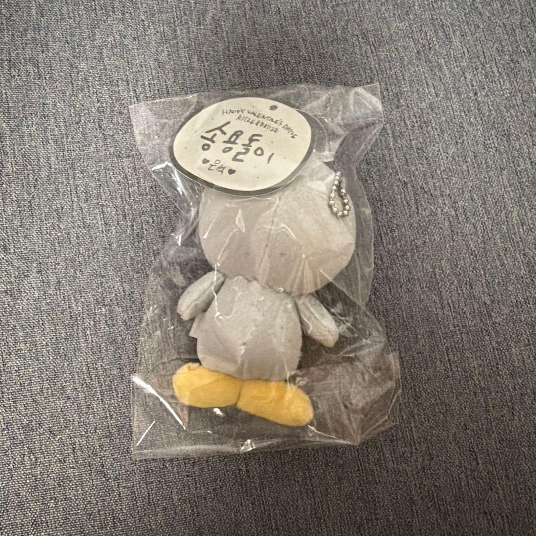 RIIZE ウンソク ソンヨンドリ 10cmドール キーリング - メルカリ