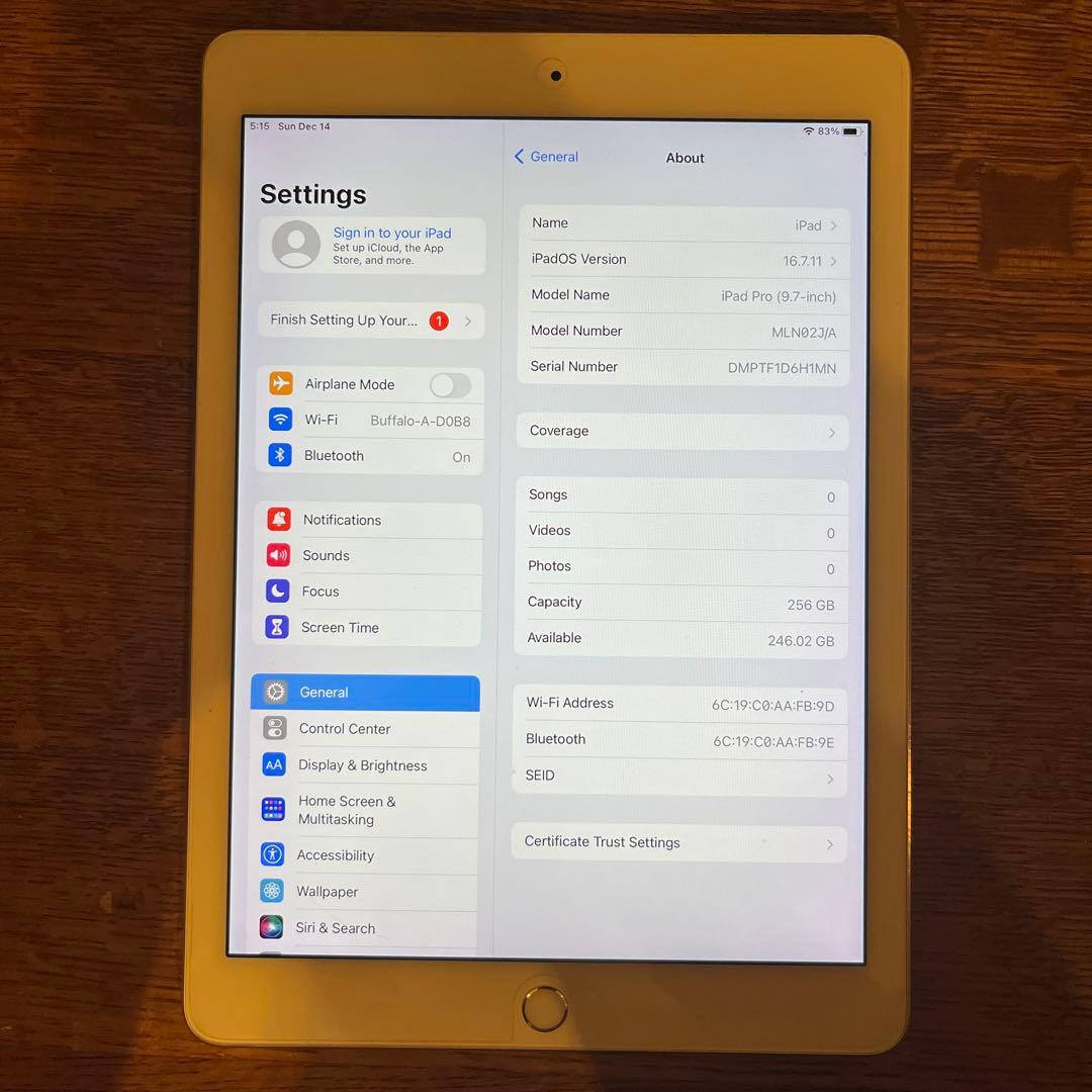 Apple iPad Pro 9.7in (256gb) シルバー 本体