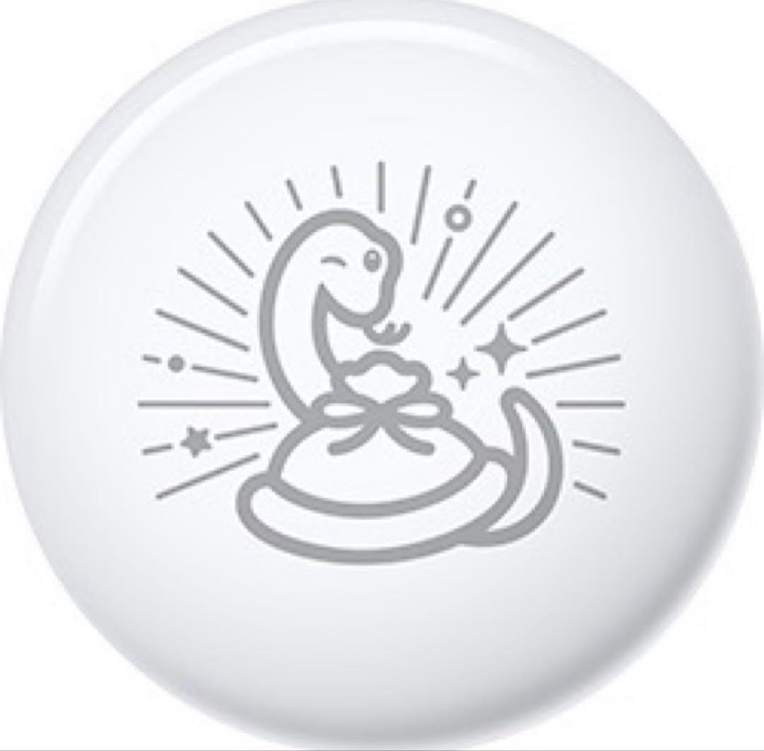 アップルストア新年限定品】開運 AirTag 2個セット（兎年1個＋巳年1