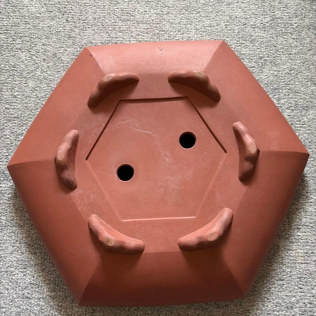 植木鉢　鉢　六角　盆栽　盆景 盆栽小鉢：桂雲 六角鉢 14cm 【現】*資材 | 盆栽鉢・水盤,現代小鉢