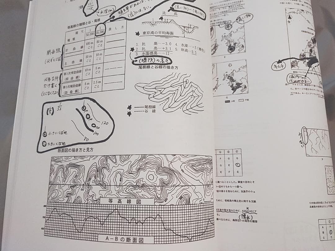 駿台 岡田先生 地理配布プリント 書き込み無し 河合塾 鉄緑会 SEG 東進