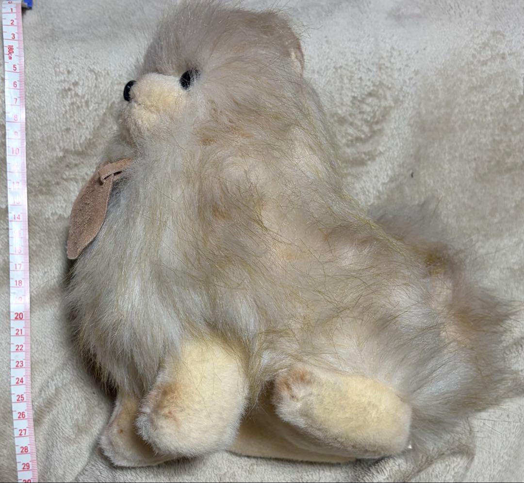 犬 三英 スピッツ ポメラニアン ぬいぐるみ ベージュ - メルカリ