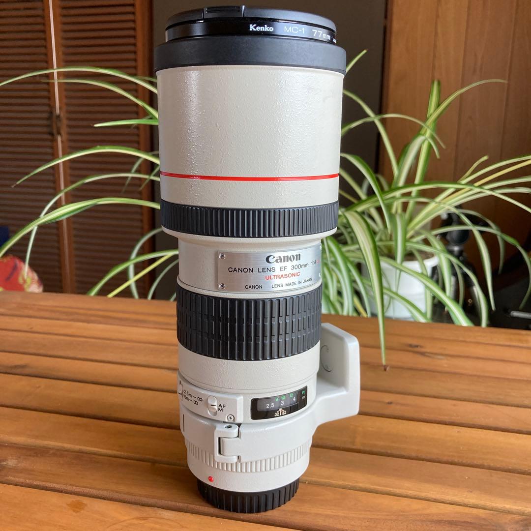 C anon EF300㎜　F4L USM 手ブレ補正機構なし C anon EF300㎜ F4L USM 手ブレ補正機構なし Canon EF300mm F 4 L