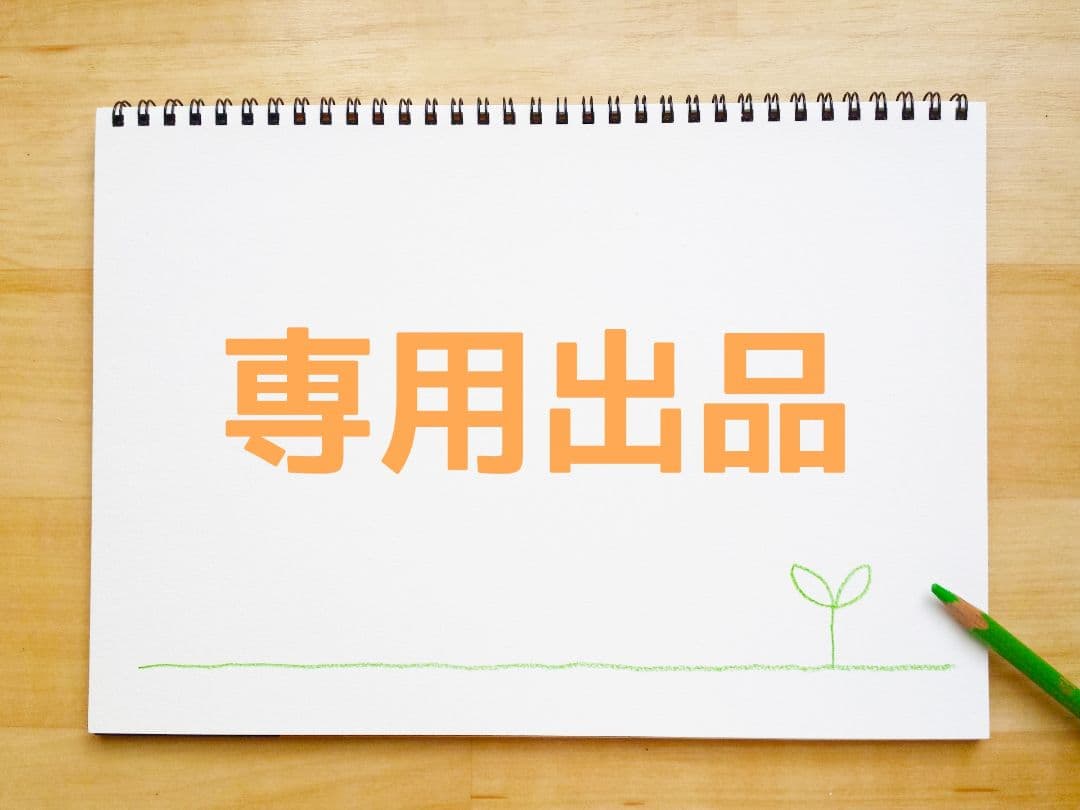 専用出品 imgrc0071755574.jpg