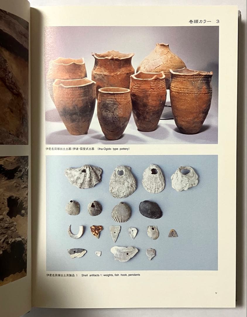 伊是名貝塚ー沖縄県伊是名貝塚の調査と研究ー - marcosflowerdesign.com