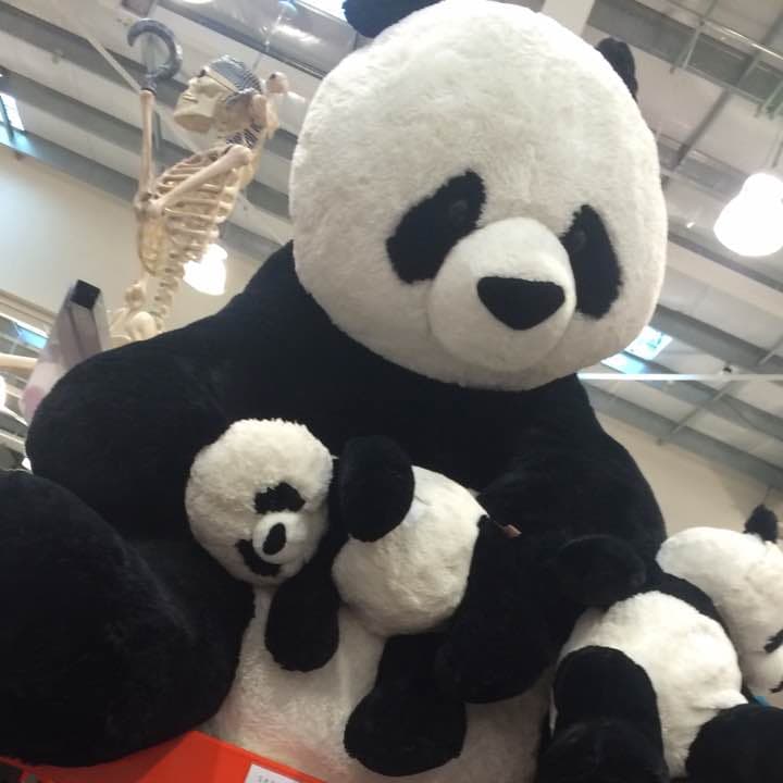 コストコ パンダ ぬいぐるみ - メルカリ