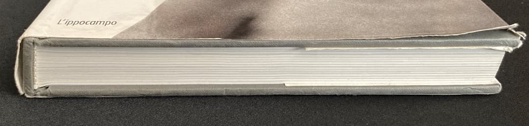 No.696《おすすめ》『（伊文）イル・ラガッツォ　少年の美と性愛について』