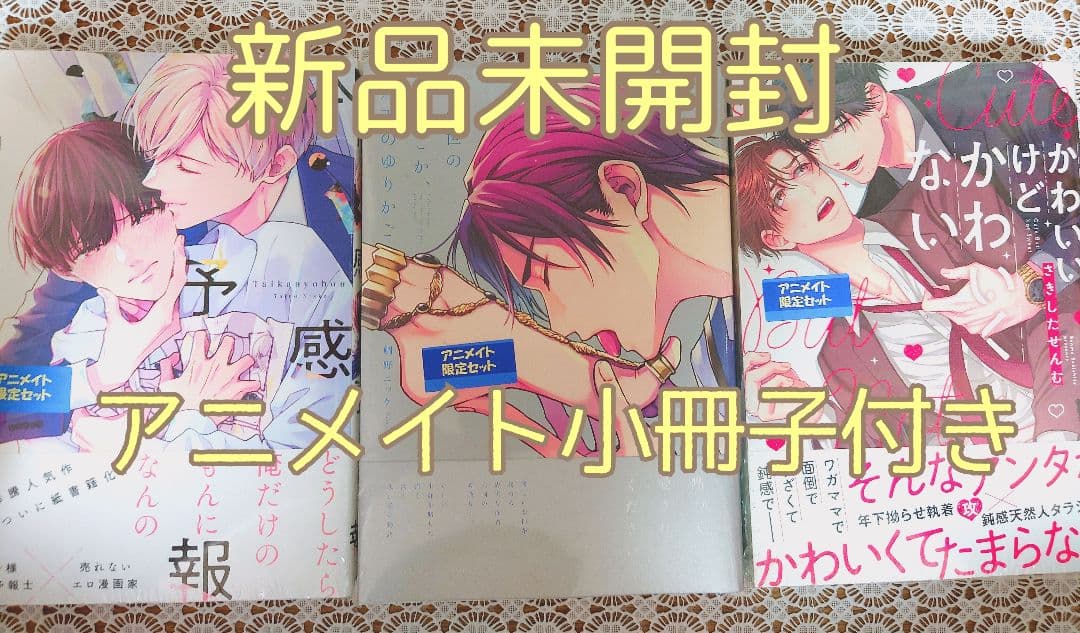 ※アニメイト特典付き 『体感予報』『その世のどこか、蒼天のゆりかご』他1冊